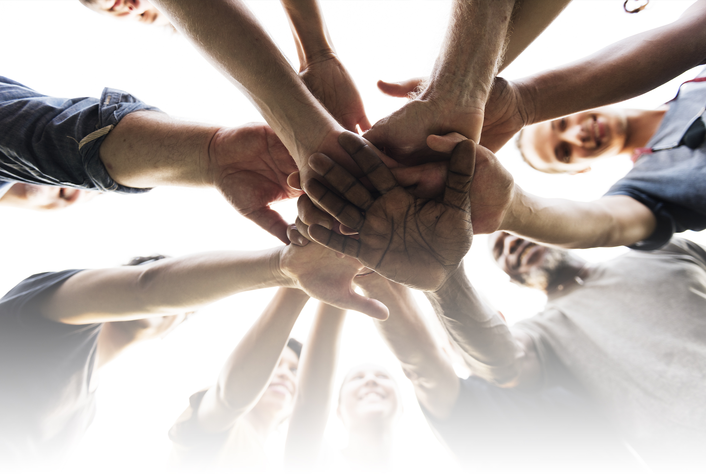 The Value of Team Bonding Insights Prime Group